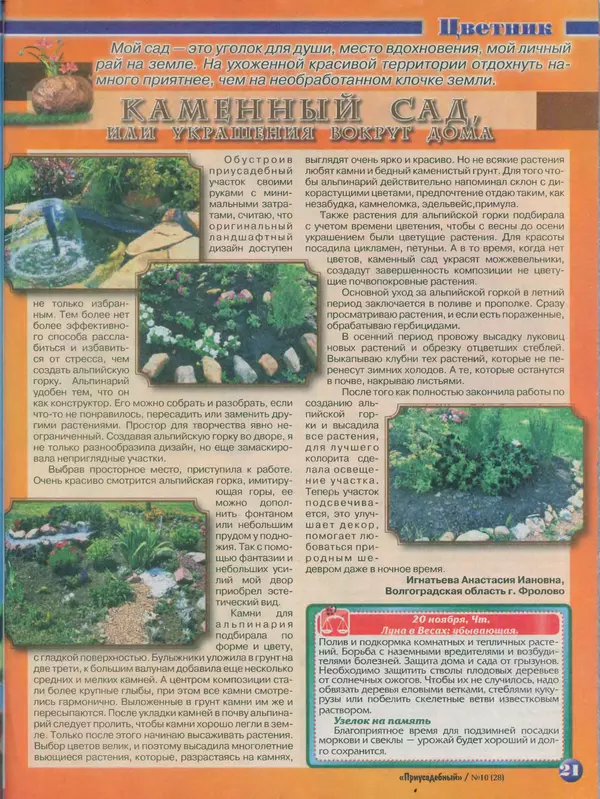 КулЛиб.   журнал Приусадебный - Приусадебный 2014 №10(28). Страница № 21