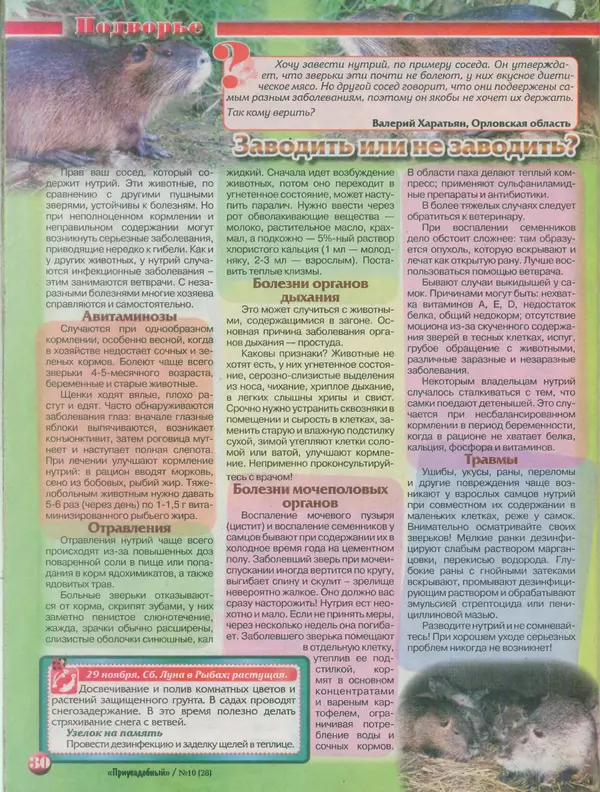 КулЛиб.   журнал Приусадебный - Приусадебный 2014 №10(28). Страница № 30