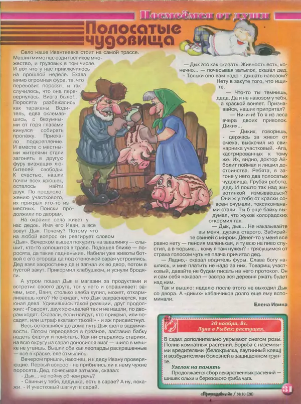 КулЛиб.   журнал Приусадебный - Приусадебный 2014 №10(28). Страница № 31