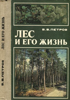 Лес и его жизнь (fb2)