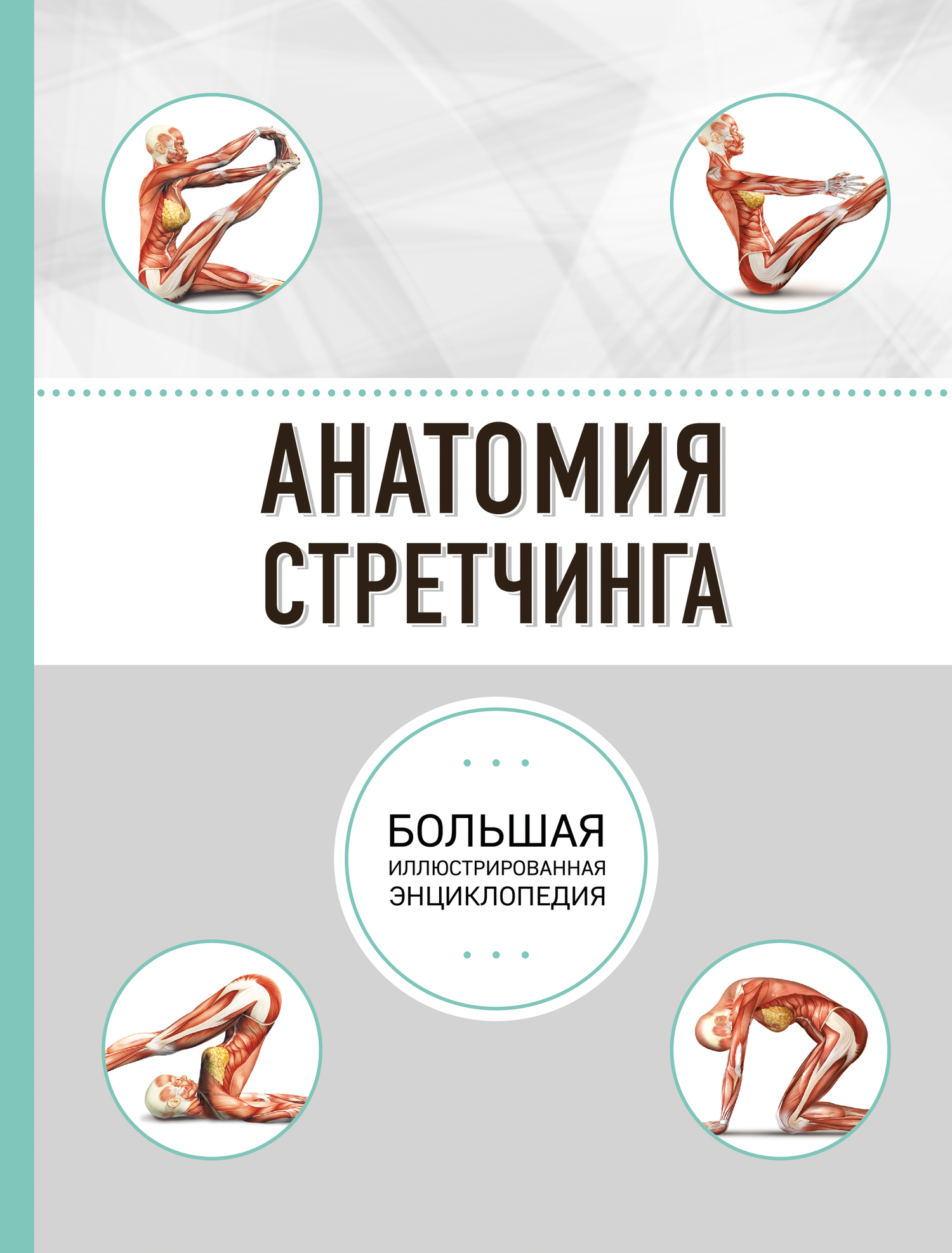 Анатомия стретчинга (fb2)