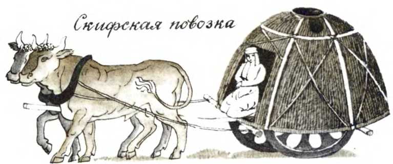 Чудеса на колёсах. Анатолий Маркуша. Иллюстрация 117