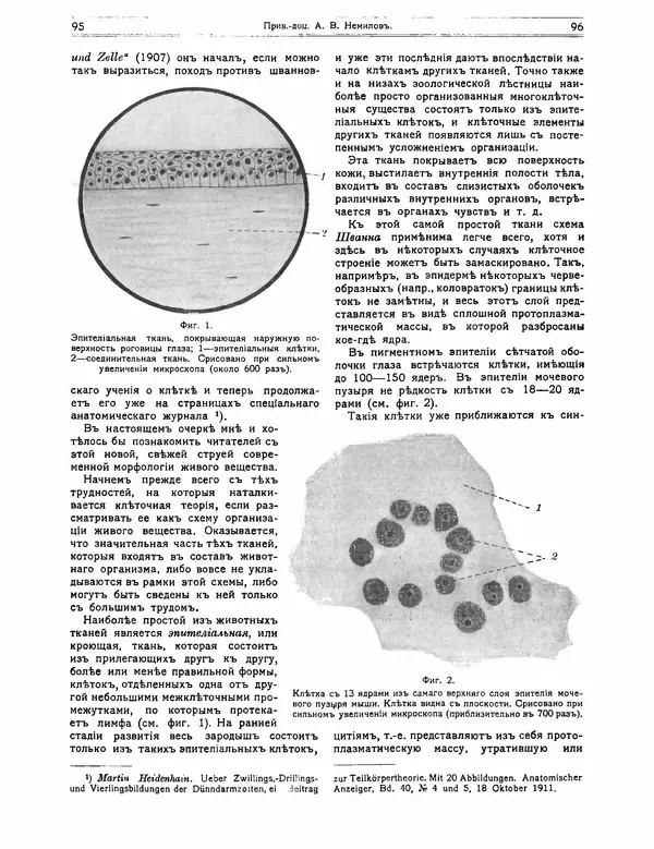 КулЛиб.   журнал Природа - Природа 1912 №01. Страница № 50