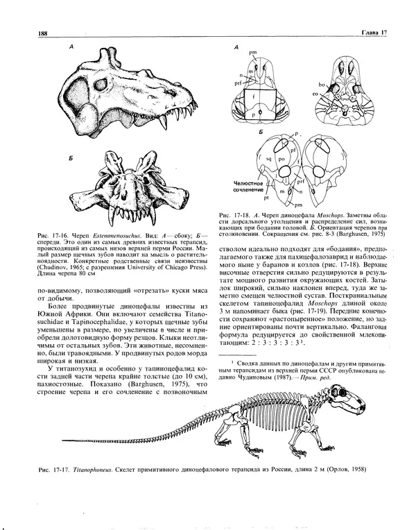 КулЛиб. Роберт Лин Кэрролл - Палеонтология и эволюция позвоночных. Том 2. Страница № 189