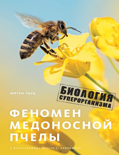 Феномен медоносной пчелы. Биология суперорганизма (fb2)