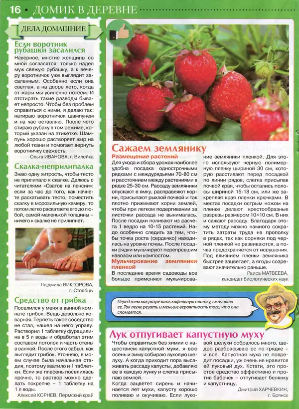 КулЛиб.   журнал Сваты на пенсии - Сваты на пенсии 2015 №3(06). Страница № 16