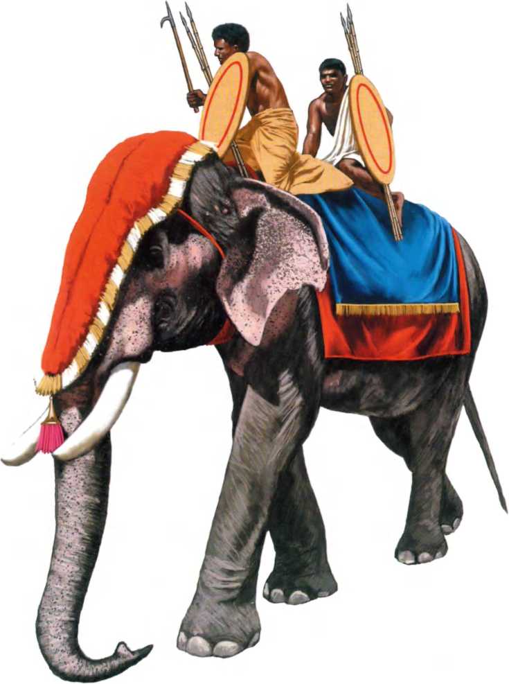 Боевые слоны эллинистического мира (первая треть IV - II вв. до н.э.). Аркадий Абакумов. Иллюстрация 8