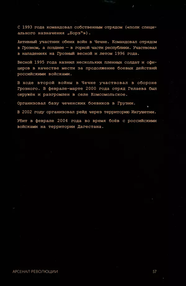 КулЛиб. Евгений Александрович Норин - Чеченская война. Том 1. 1994–1996. Страница № 57