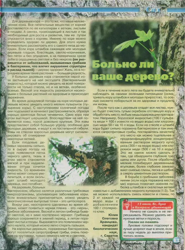 КулЛиб.   журнал Приусадебный - Приусадебный 2014 №6(24). Страница № 13