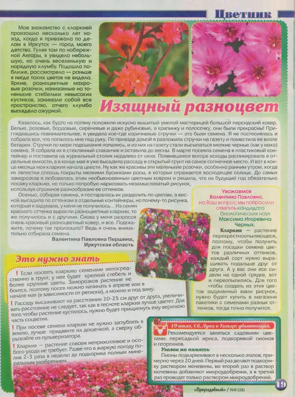 КулЛиб.   журнал Приусадебный - Приусадебный 2014 №6(24). Страница № 19