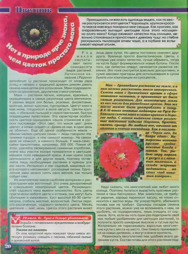 КулЛиб.   журнал Приусадебный - Приусадебный 2014 №6(24). Страница № 20
