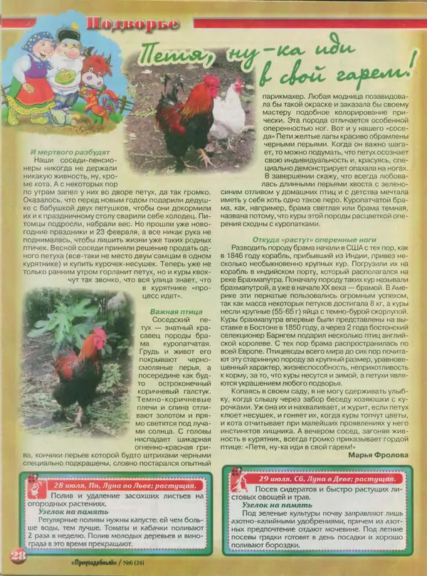 КулЛиб.   журнал Приусадебный - Приусадебный 2014 №6(24). Страница № 28