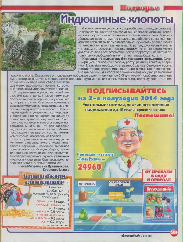 КулЛиб.   журнал Приусадебный - Приусадебный 2014 №6(24). Страница № 29