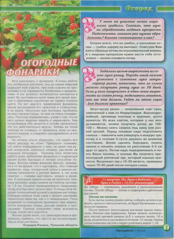 КулЛиб.   журнал Приусадебный - Приусадебный 2014 №7(25). Страница № 11