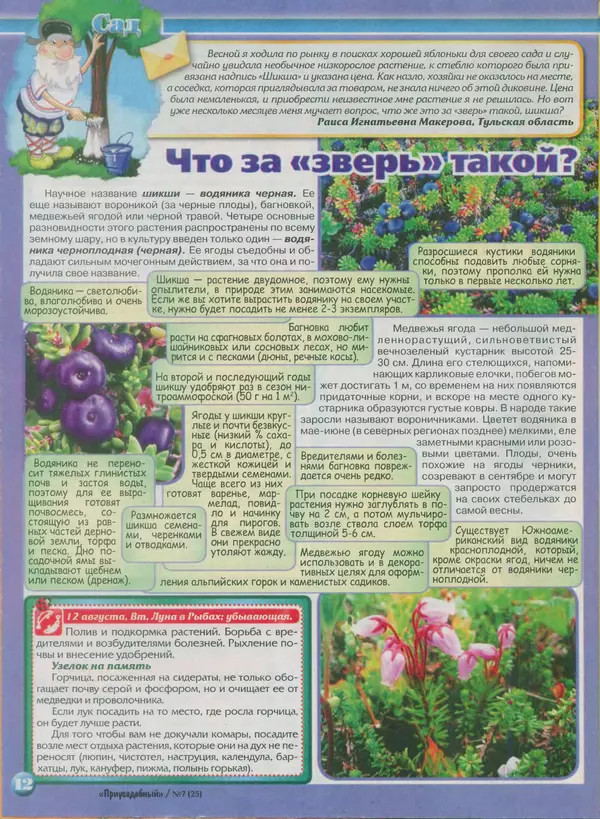 КулЛиб.   журнал Приусадебный - Приусадебный 2014 №7(25). Страница № 12