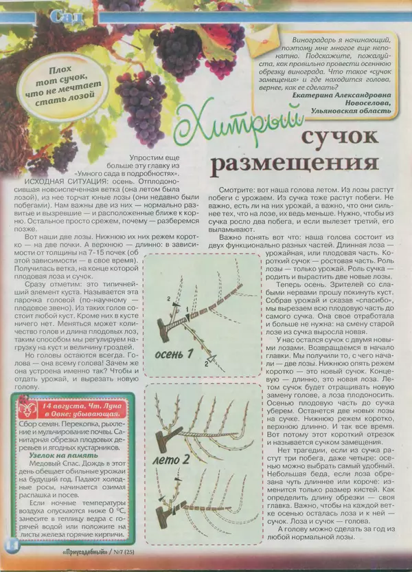 КулЛиб.   журнал Приусадебный - Приусадебный 2014 №7(25). Страница № 14