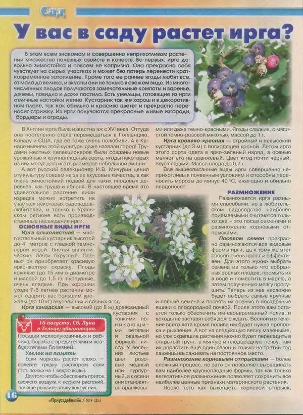 КулЛиб.   журнал Приусадебный - Приусадебный 2014 №7(25). Страница № 16