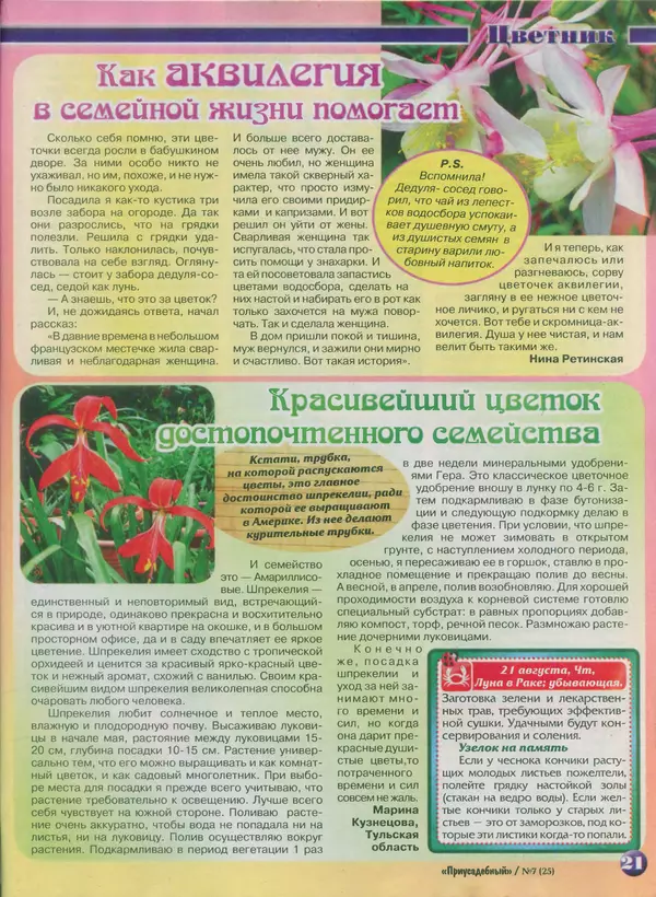 КулЛиб.   журнал Приусадебный - Приусадебный 2014 №7(25). Страница № 21