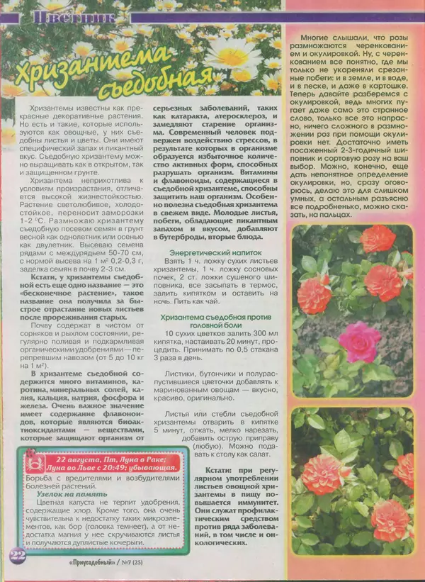 КулЛиб.   журнал Приусадебный - Приусадебный 2014 №7(25). Страница № 22