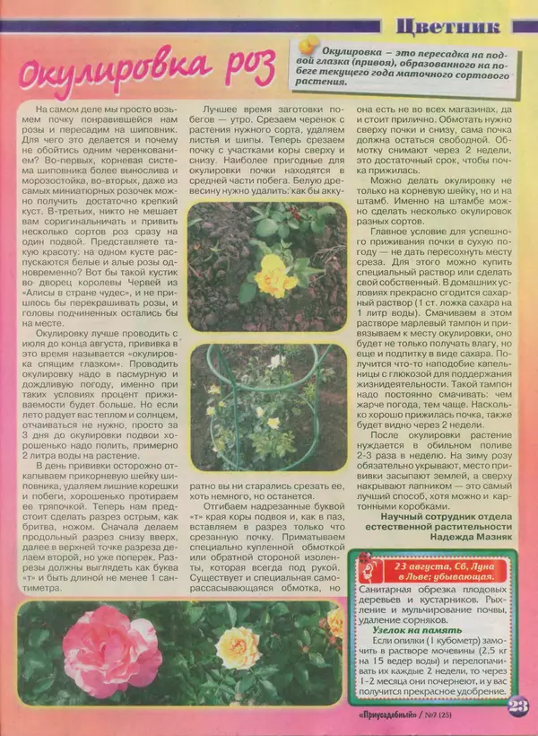 КулЛиб.   журнал Приусадебный - Приусадебный 2014 №7(25). Страница № 23