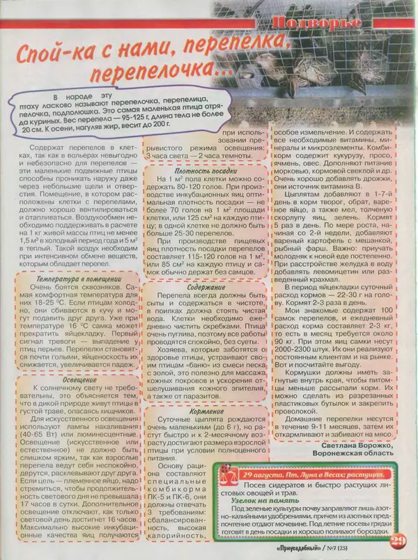 КулЛиб.   журнал Приусадебный - Приусадебный 2014 №7(25). Страница № 29