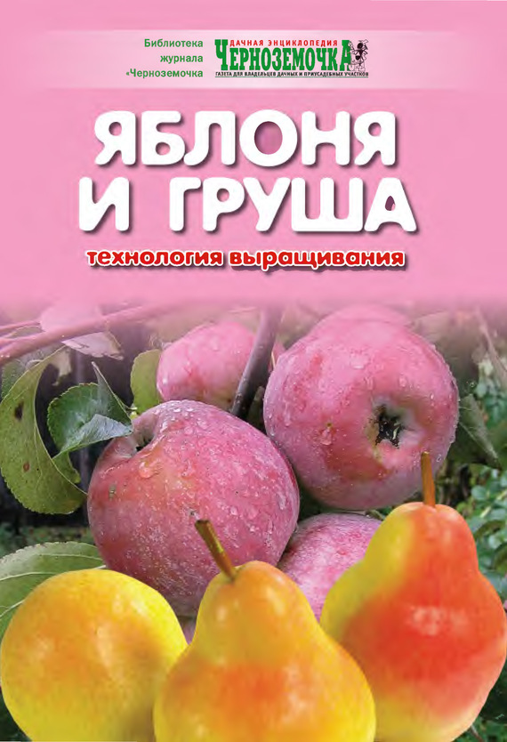 Яблоня и груша. Технология выращивания (fb2)