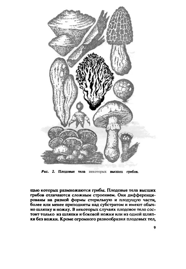 КулЛиб. C. П. Вассер - Съедобные и ядовитые грибы Карпат. Справочник. Страница № 9