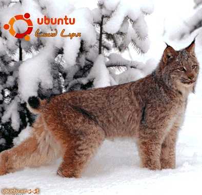 Руководство по переходу на Ubuntu 10.04 LTS «Lucid Lynx» (fb2)