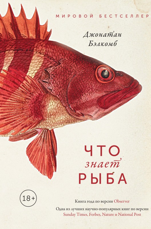 Что знает рыба (fb2)