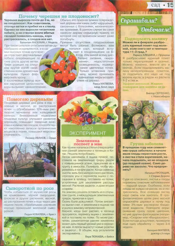 КулЛиб.   журнал Сваты на даче - Сваты на даче 2015 №2(02). Страница № 15