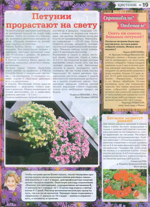 КулЛиб.   журнал Сваты на даче - Сваты на даче 2015 №2(02). Страница № 19