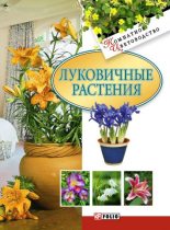 Книга - Татьяна Николаевна Дорошенко - Луковичные растения (fb2) читать без регистрации