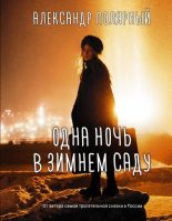 Книга - Александр  Полярный - Одна ночь в зимнем саду (fb2) читать без регистрации