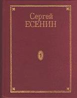 Книга - Сергей Александрович Есенин - Том 6. Письма (fb2) читать без регистрации