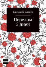 Книга - Елизавета Семёновна Алексо - Перелом 5 дней (fb2) читать без регистрации