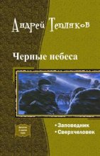 Книга - Андрей Владимирович Тепляков - Черные небеса (СИ) (fb2) читать без регистрации