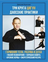 Книга - Дмитрий Михайлович Воропаев - Три круга цигун. Даосские практики (fb2) читать без регистрации