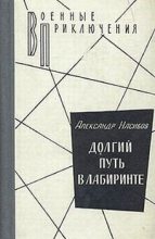 Книга - Александр Ашотович Насибов - Долгий путь в лабиринте (fb2) читать без регистрации