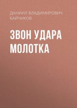 Книга - Даниил Владимирович Байчиков - Звон удара молотка (fb2) читать без регистрации