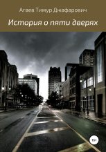 Книга - Тимур Джафарович Агаев - История о пяти дверях (fb2) читать без регистрации