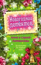 Книга - Анна и Сергей  Литвиновы - За минуту до Нового года (fb2) читать без регистрации