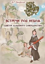 Книга - Александр  Прибылов - Встречи под Небом (fb2) читать без регистрации