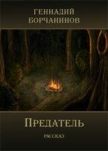 Книга - Геннадий  Борчанинов - Предатель (fb2) читать без регистрации