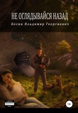 Книга - Владимир  Георгиевич Босин - Не оглядывайся назад (fb2) читать без регистрации