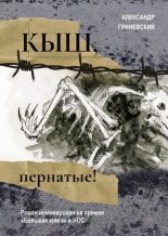 Книга - Александр  Гриневский - Кыш, пернатые! (fb2) читать без регистрации