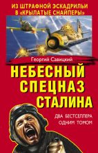 Книга - Георгий Валерьевич Савицкий - Небесный спецназ Сталина. Из штрафной эскадрильи в «крылатые снайперы» (сборник) (fb2) читать без регистрации
