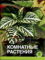 Книга - Дарья Викторовна Князева - Декоративно-лиственные комнатные растения (pdf) читать без регистрации
