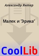 Книга - Александр  Янтер - Малек и 'Эрика' (fb2) читать без регистрации