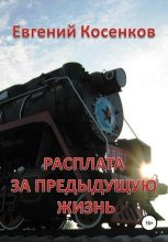 Книга - Евгений  Косенков - Расплата за предыдущую жизнь (fb2) читать без регистрации