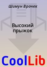 Книга - Шимун  Врочек - Высокий прыжок (fb2) читать без регистрации